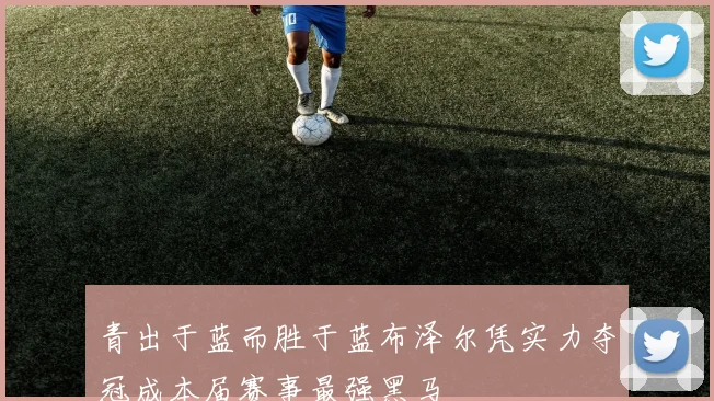 青出于蓝而胜于蓝布泽尔凭实力夺冠成本届赛事最强黑马