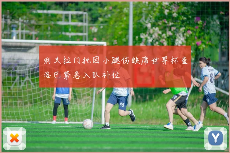 利夫拉门托因小腿伤缺席世界杯查洛巴紧急入队补位